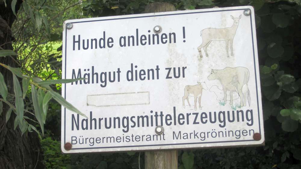Schild