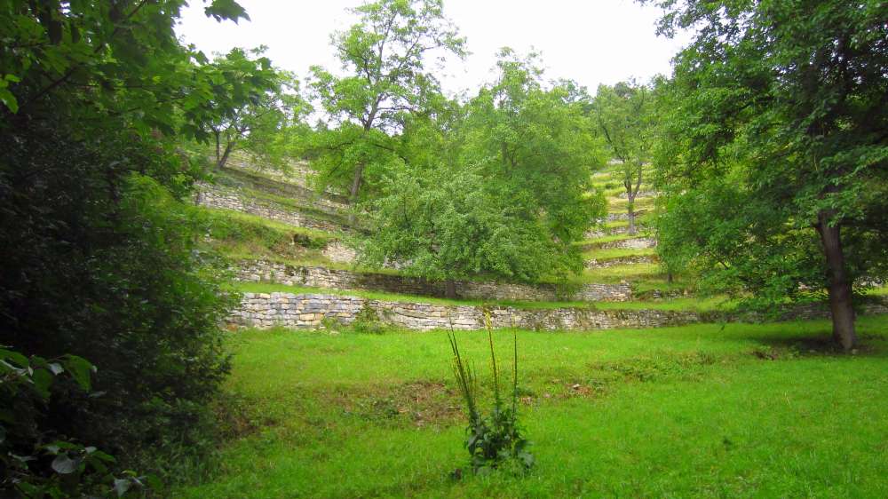 Weinbergterrassen