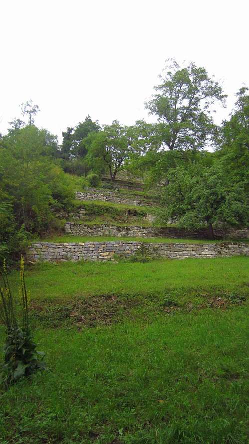 Weinbergterrassen