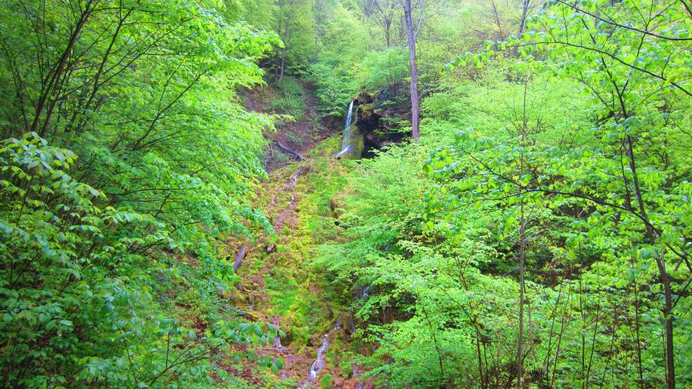 Neidlinger_Wasserfaelle