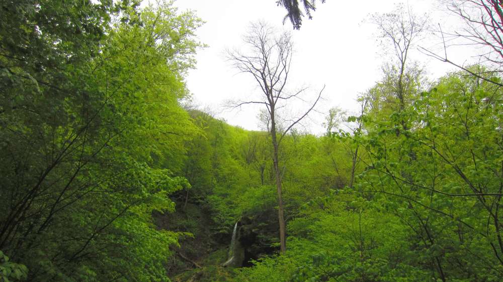 Neidlinger_Wasserfaelle