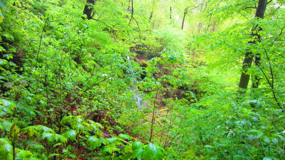 Neidlinger_Wasserfaelle