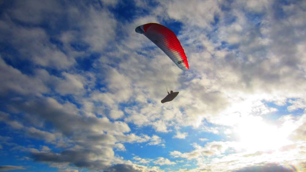 Paraglider