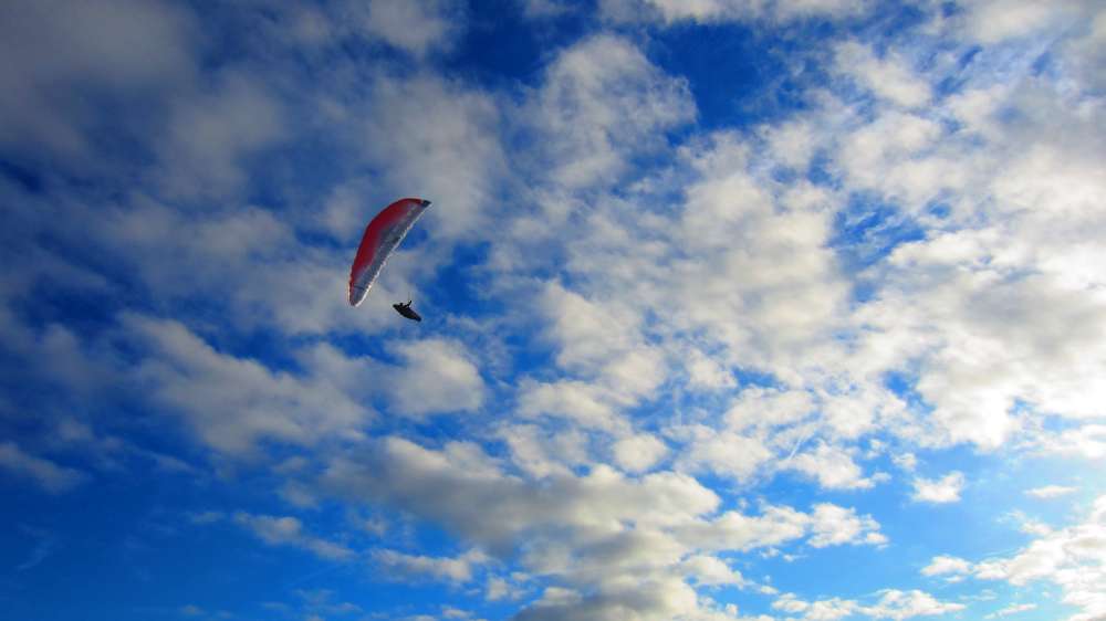 Paraglider