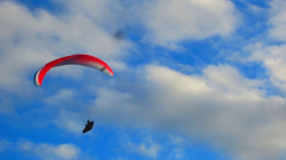 Paraglider