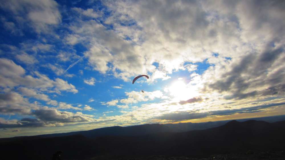 Paraglider