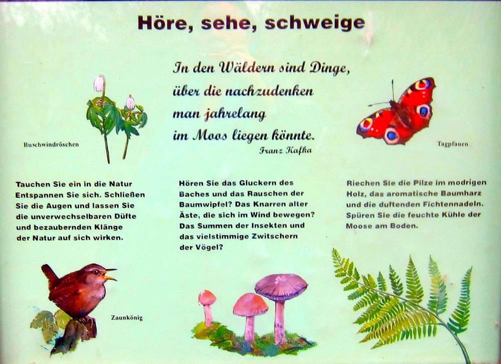 Schild_Höre_sehe_schweige