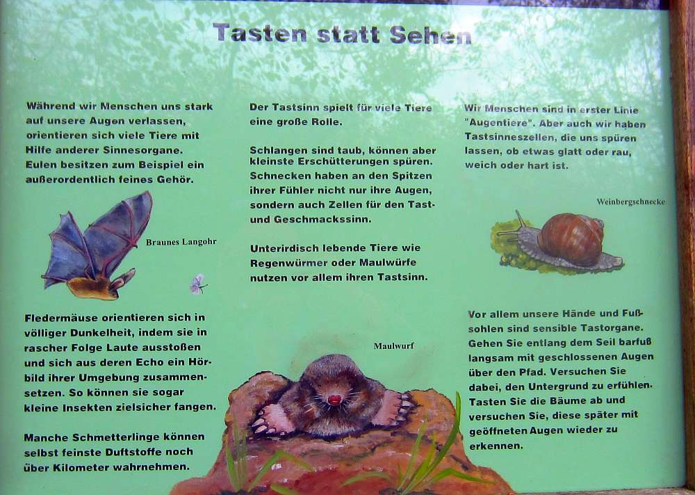 Schild_Tasten_statt_sehen