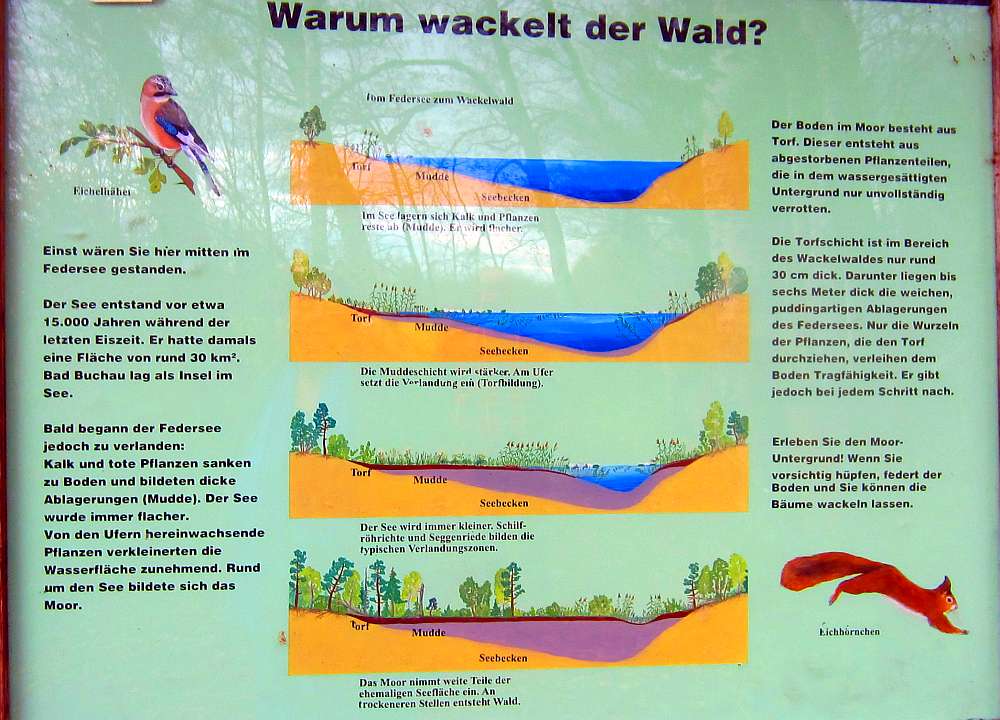 Schild_warum_wackelt_der_Wald