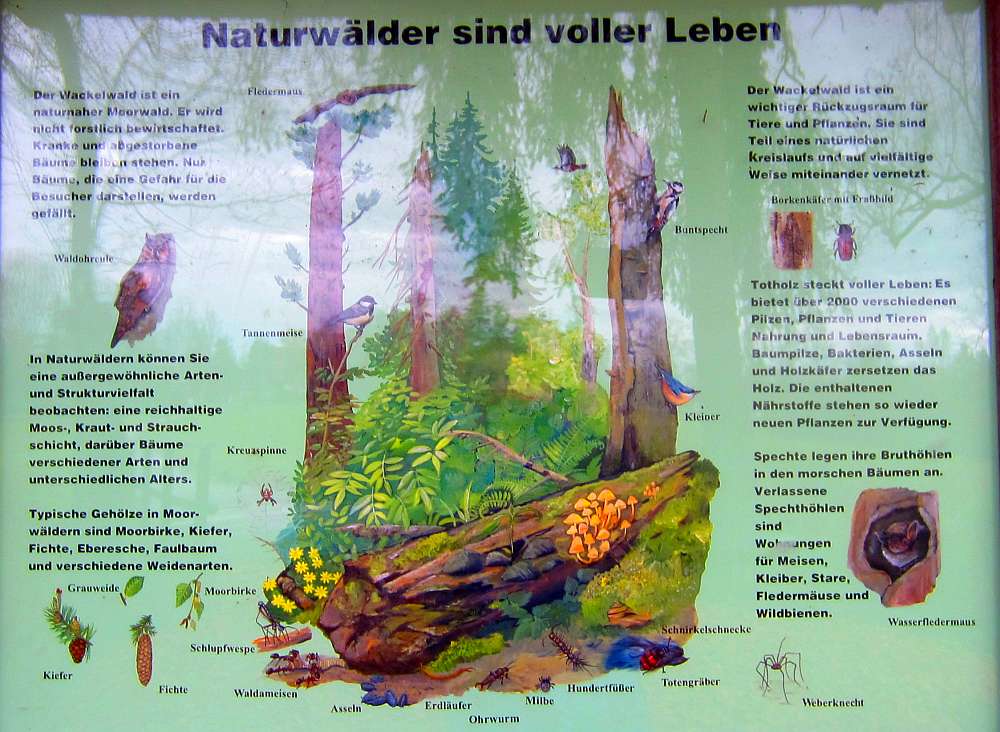 Schild_Naturwaelder