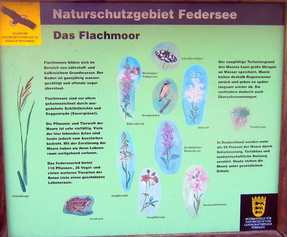 Schild_Flachmoor