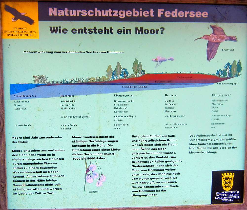 Schild_Wie_entsteht_ein_Moor
