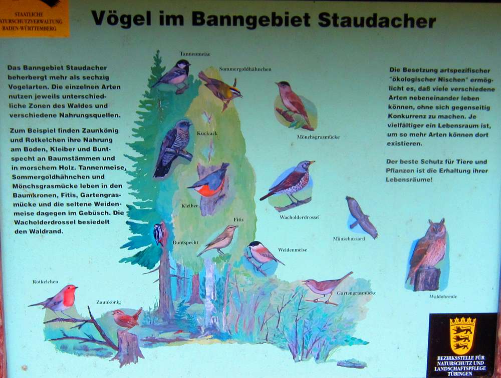 Schild_Voegel_im_Banngebiet