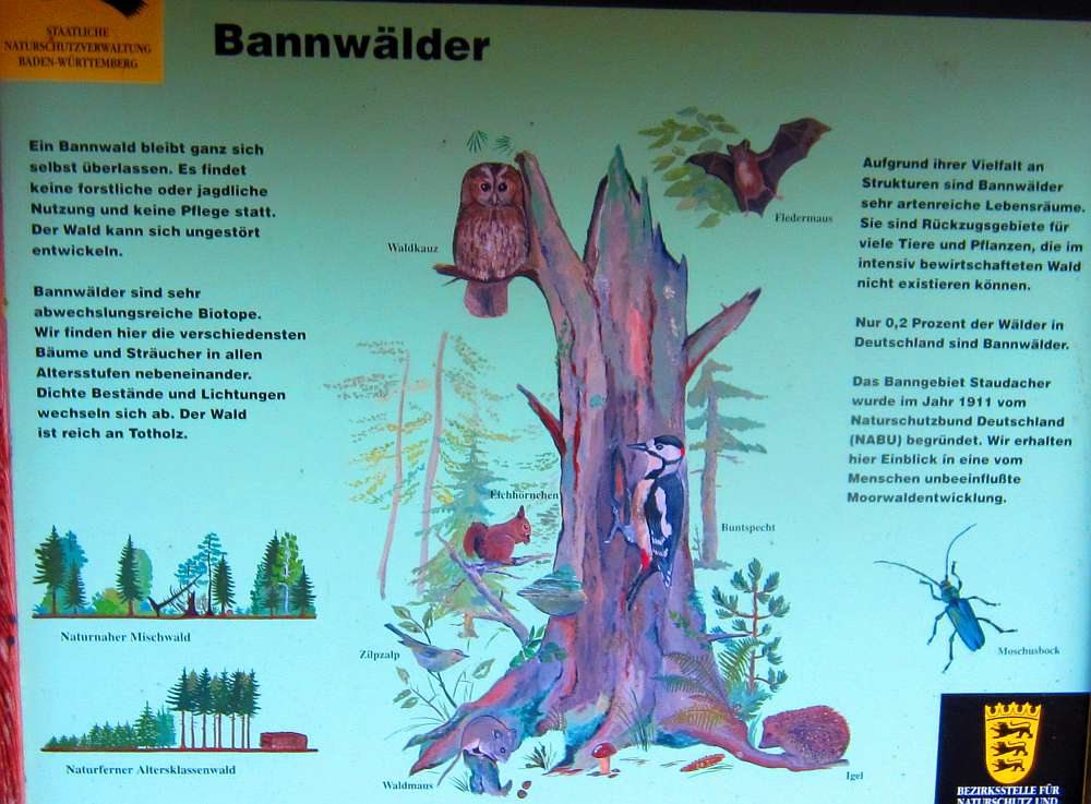 Schild_Bannwaelder