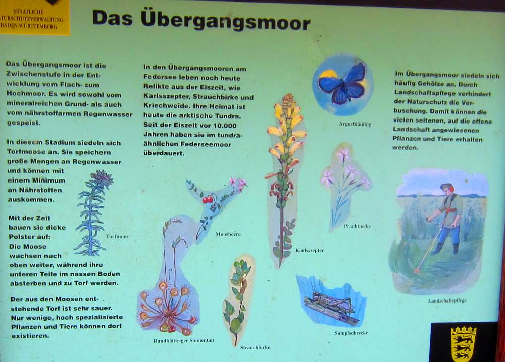 Schild_Uebergangsmoor