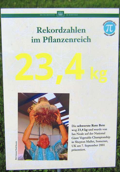 Rote_Bete