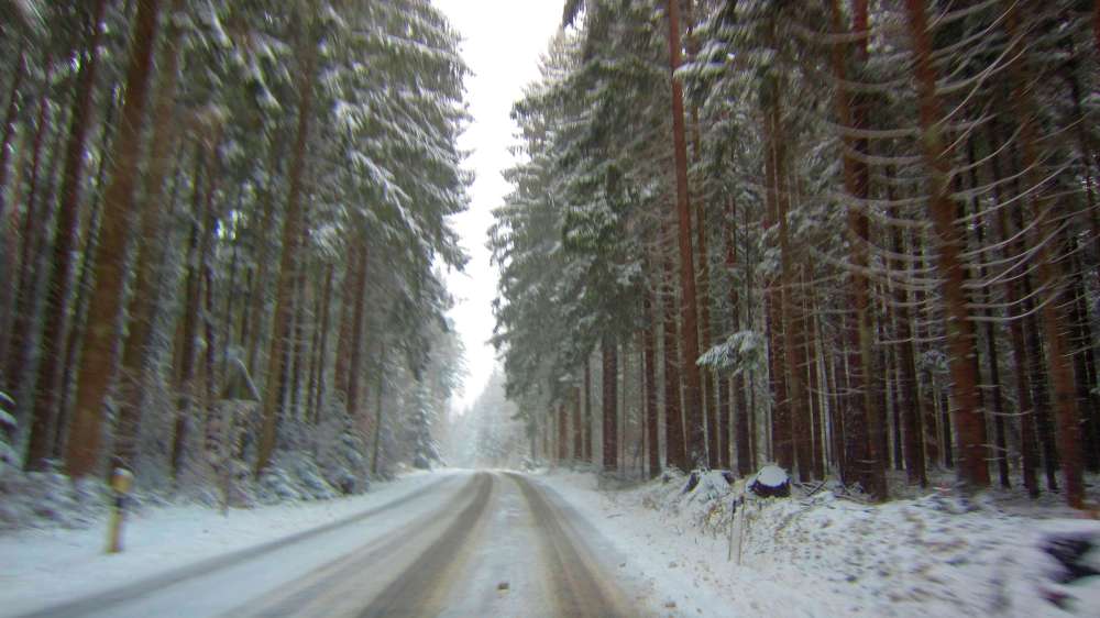 Strasse_im_Wald