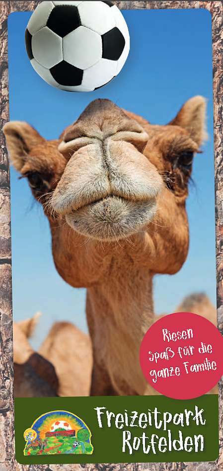 Flyer_Kamelfarm