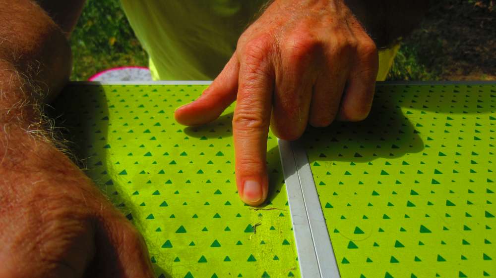 Storchenschnabel_blau