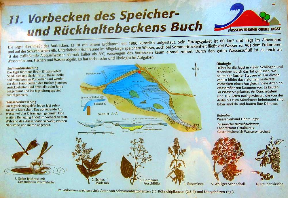 BucherSee_