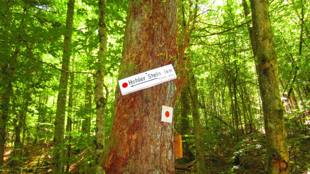 Hohler_Stein