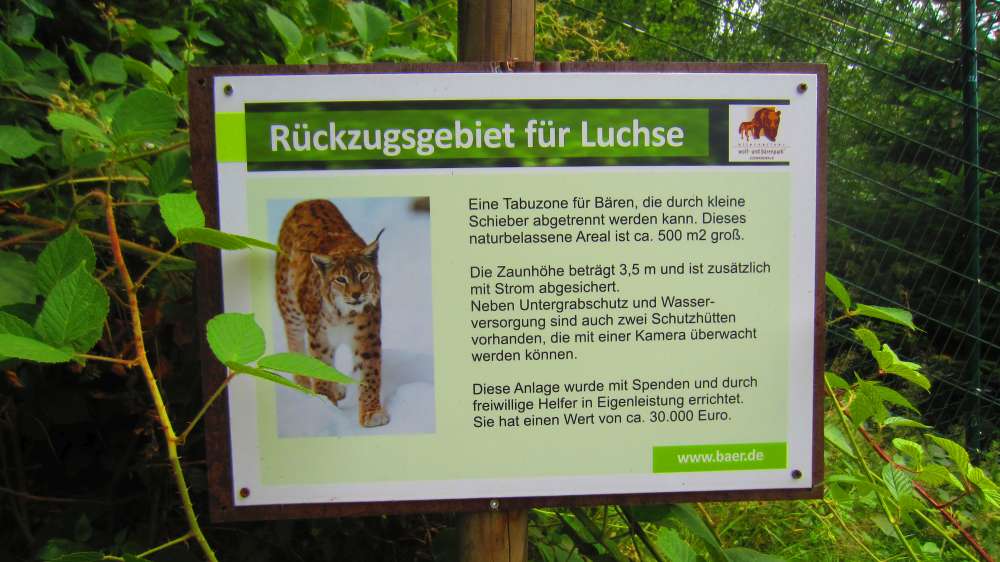 Schild_Luchse