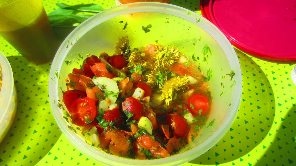 Picknick_Salat