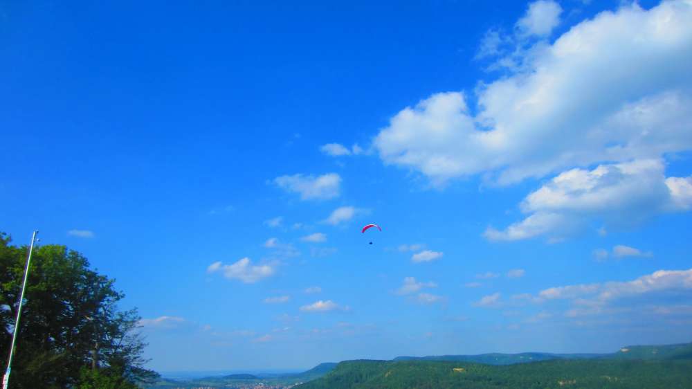 Paraglider