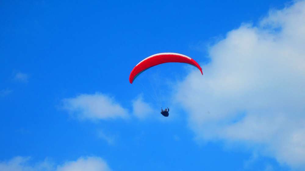 Paraglider