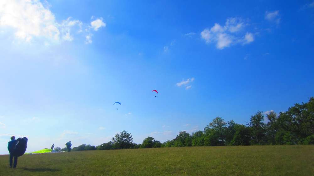 Paraglider