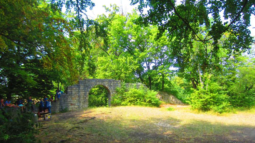 Ruine_Hofen