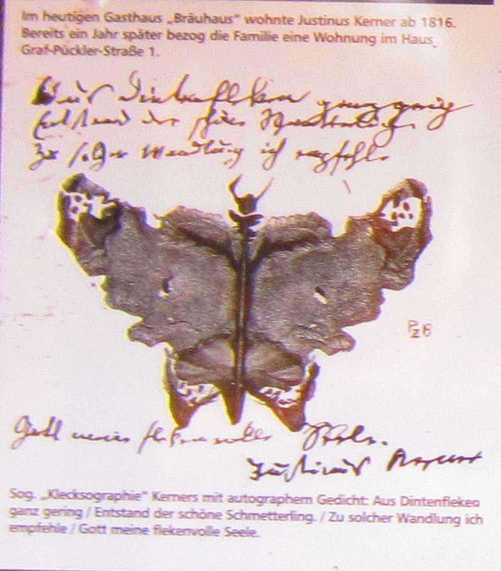 Schmetterling