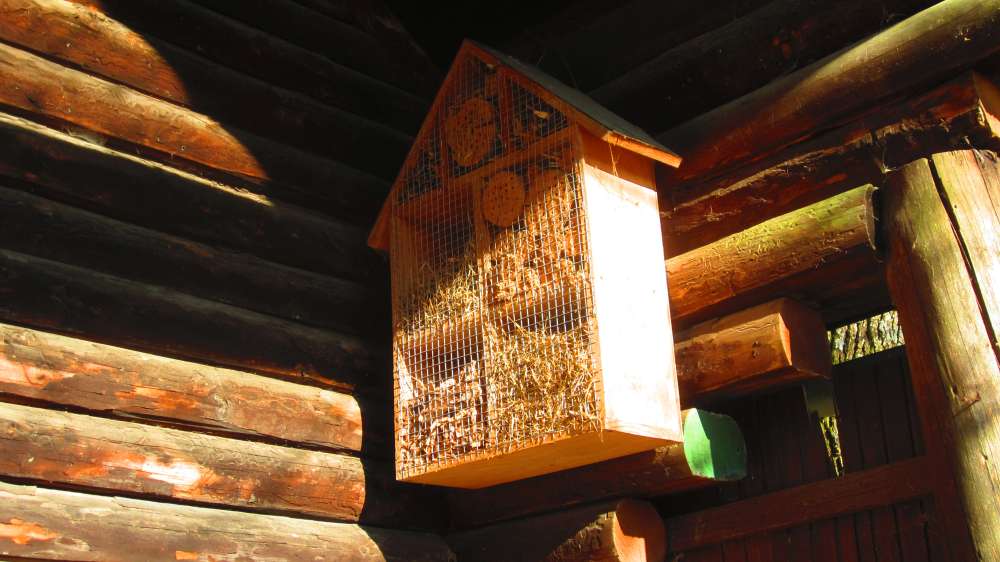 Insektenhotel