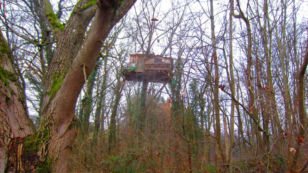 Baumhaus