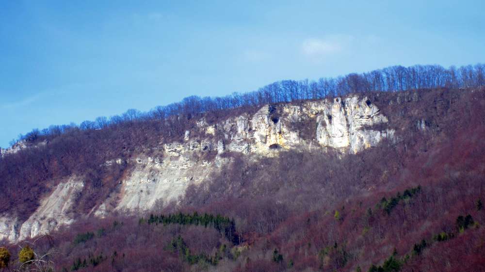 Felsen