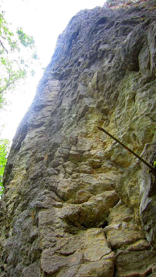 Felsen