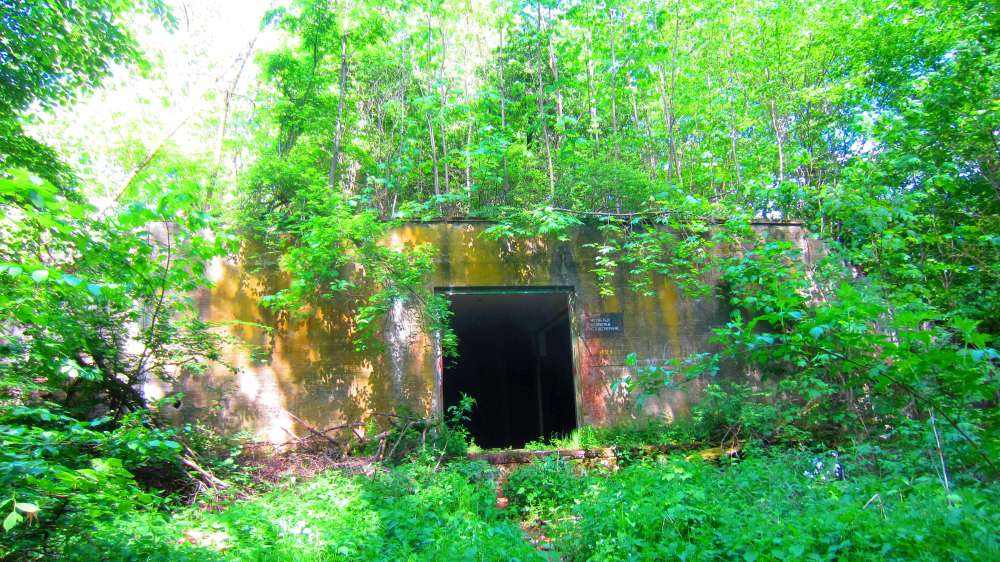 Bunker