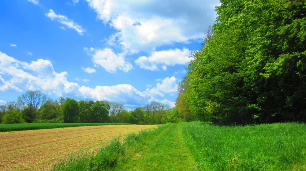 Wanderparkplatz_Wartstein