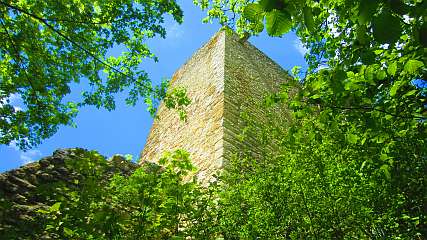 Ruine_Wartstein