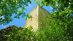 Ruine_Wartstein