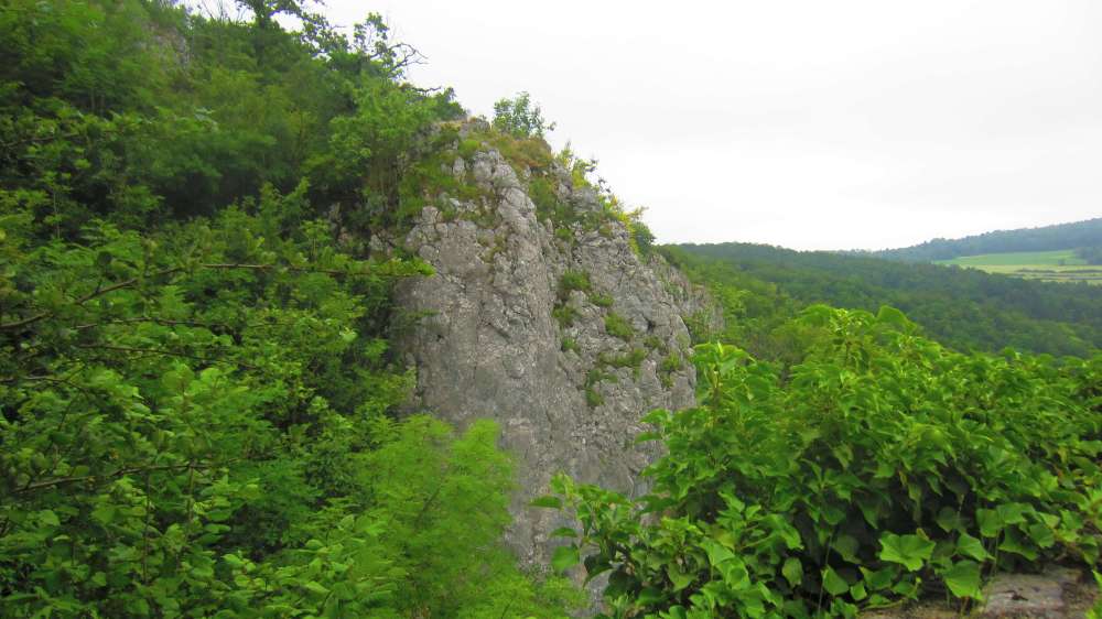 Felsen