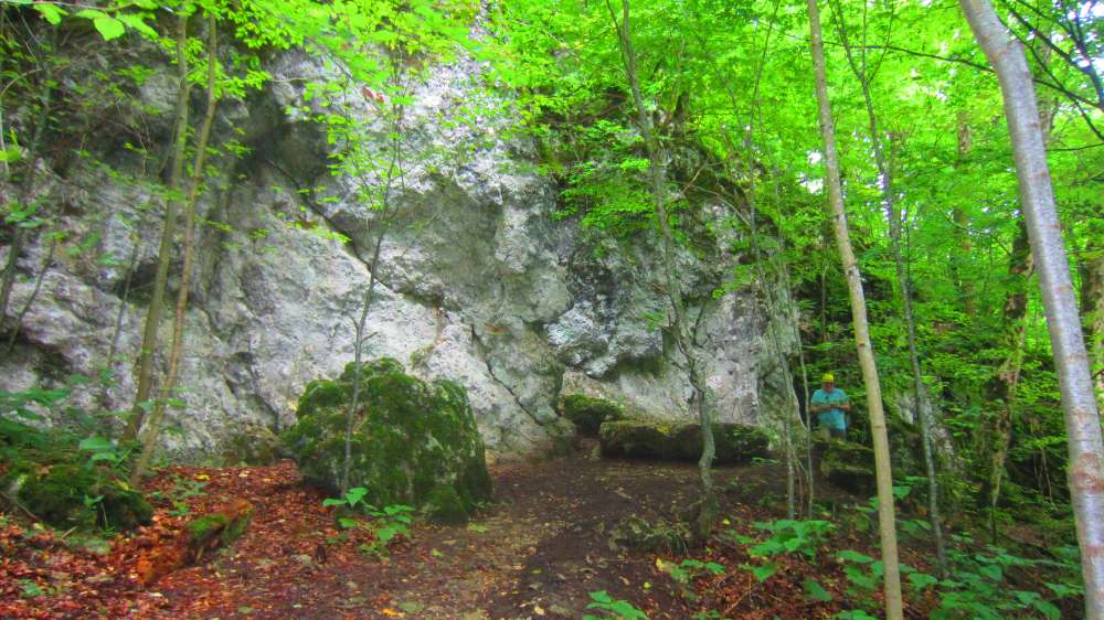 Felsen