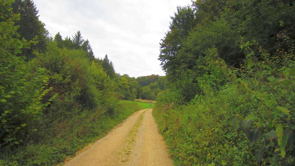 Waldweg