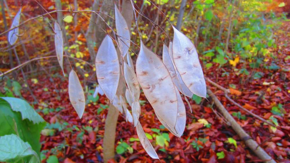 20 And we know that the Son of God is come, and hath given us an understanding, that we may know him that is true, and we are in him that is true, even in his Son Jesus Christ. This is the true God, and eternal life.