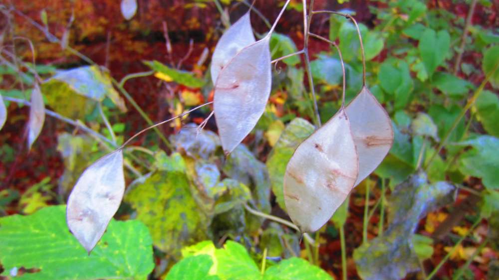 20 And we know that the Son of God is come, and hath given us an understanding, that we may know him that is true, and we are in him that is true, even in his Son Jesus Christ. This is the true God, and eternal life.