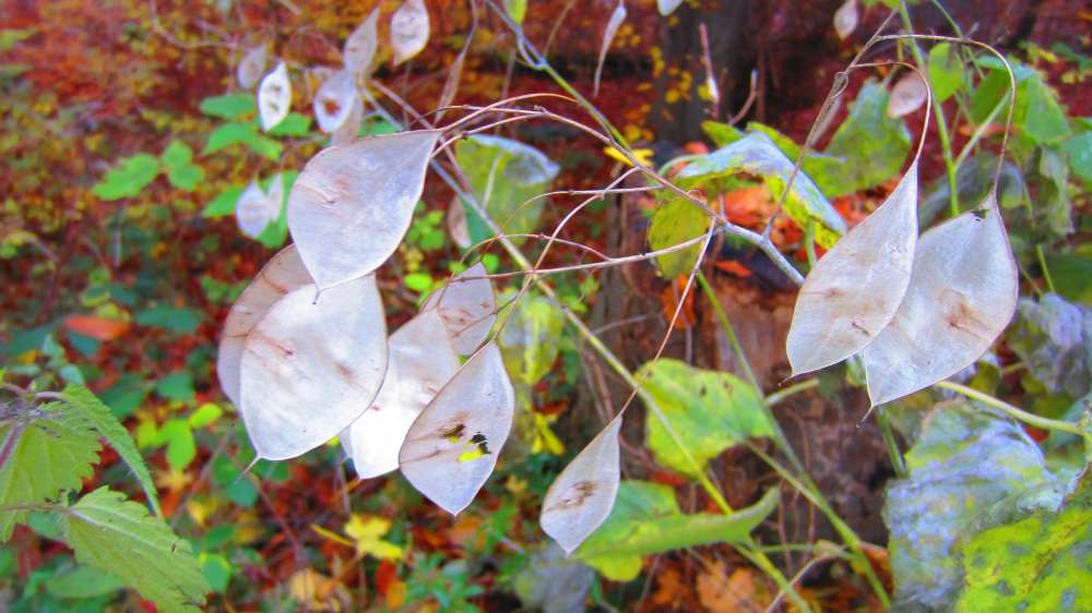 20 And we know that the Son of God is come, and hath given us an understanding, that we may know him that is true, and we are in him that is true, even in his Son Jesus Christ. This is the true God, and eternal life.