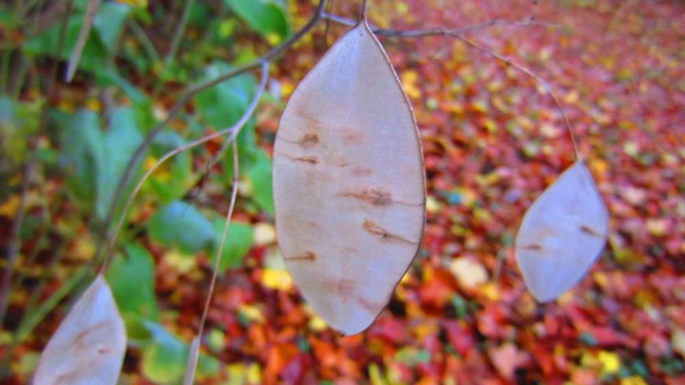 20 And we know that the Son of God is come, and hath given us an understanding, that we may know him that is true, and we are in him that is true, even in his Son Jesus Christ. This is the true God, and eternal life.