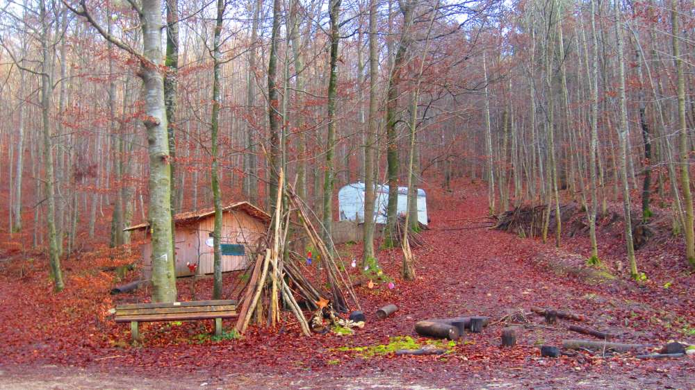 Waldkindergarten