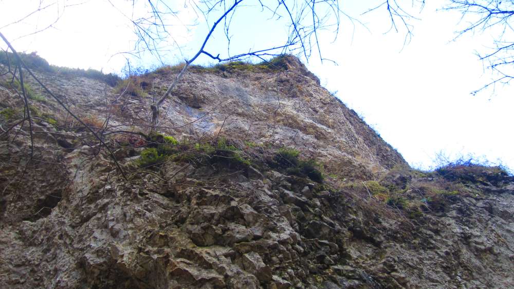 Felsen