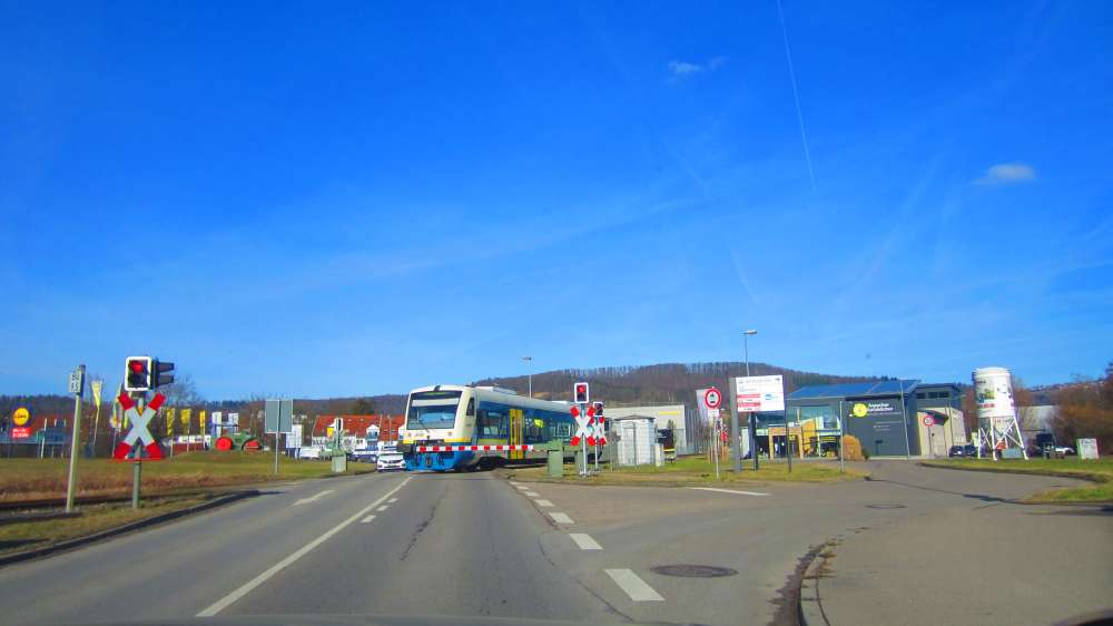 Wiesel